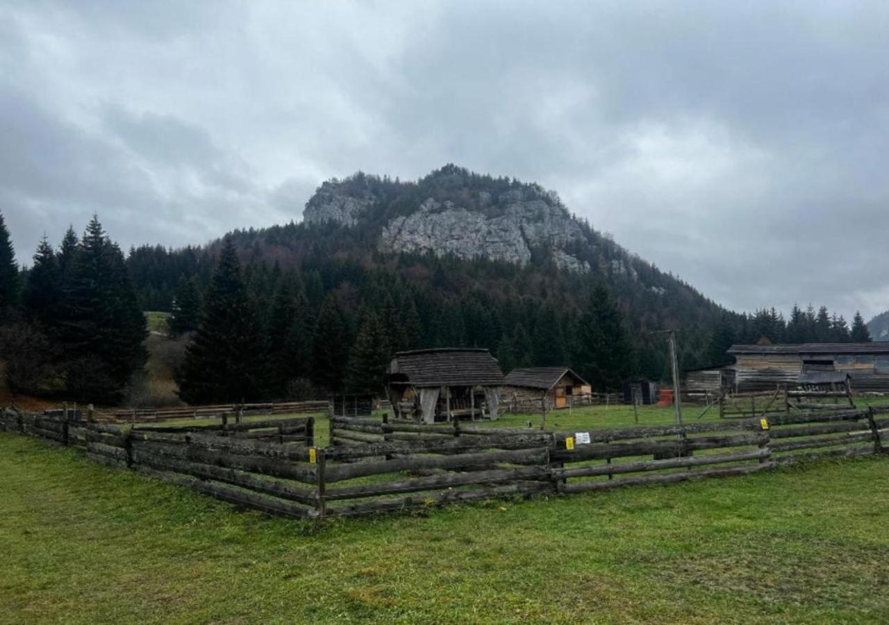 Zazi Apartmany Fatrapark Hrabovo Ruzomberok Bagian luar foto
