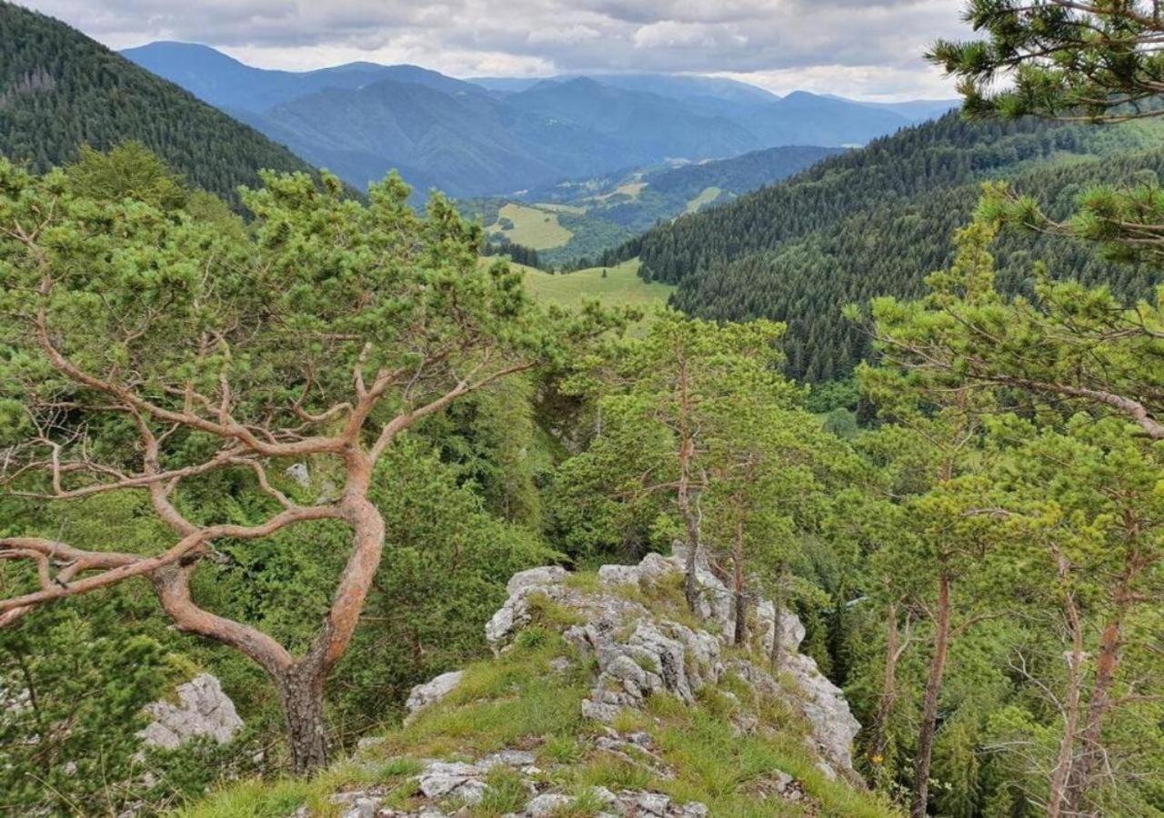 Zazi Apartmany Fatrapark Hrabovo Ruzomberok Bagian luar foto